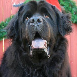 Meet your Posher, Justienne-lee